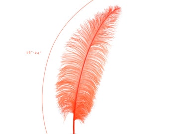 Ostrich Feathers, Hot Orange Ostrich Feather Spads 18-24", Centerpiece Floral Supplies, Carnival & Costume Feathers ZUCKER®