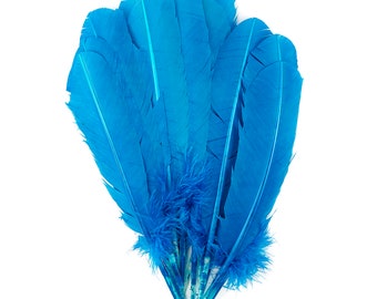 Turquoise Dyed Turkey Quill Feathers, Bulk Turkey Quills 8-12” for Cosplay, Carnival, Costume, Millinery, Dream Catcher, Art & Craft ZUCKER®