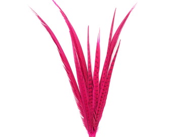 Long Shocking Pink Pheasant Feathers, 16-30 inch Bleach Dyed Ringneck & Golden Assorted Pheasant Tail Feathers 10 Pieces