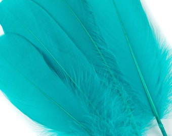 Goose Feathers, 6-8" Loose Goose Pallet Feathers AQUAMARINE - Arts and Craft Supplies ZUCKER®