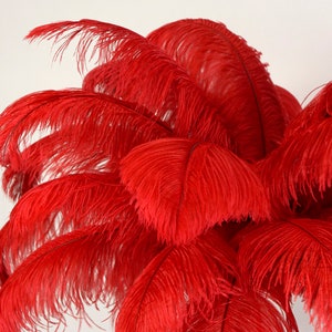Large Ostrich Feathers 17-25”, 1 to 25 Pieces, Prime Ostrich Femina Wing Plumes RED, Wedding Centerpiece, Carnival Feathers ZUCKER® USA
