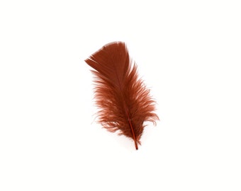 Turkey Feathers, Rust Loose Turkey Plumage Feathers, Short T-Base Body Feathers for Craft and Fly Fishing Supply ZUCKER®