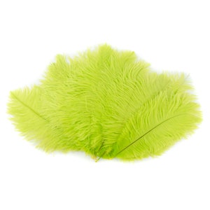 1/2 lb 14-17 Olive Ostrich Feathers