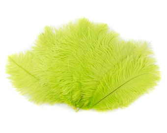 Ostrich Feathers 9-12" LIME Green, Ostrich Drabs, Centerpiece Floral Supplies, Carnival & Costume Feathers ZUCKER®Dyed and Sanitized USA