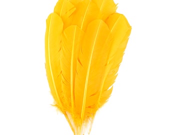 Gold Dyed Turkey Quill Feathers, Bulk Turkey Quills 8-12” for Cosplay, Carnival, Costume, Millinery, Dream Catchers, Arts & Crafts ZUCKER®