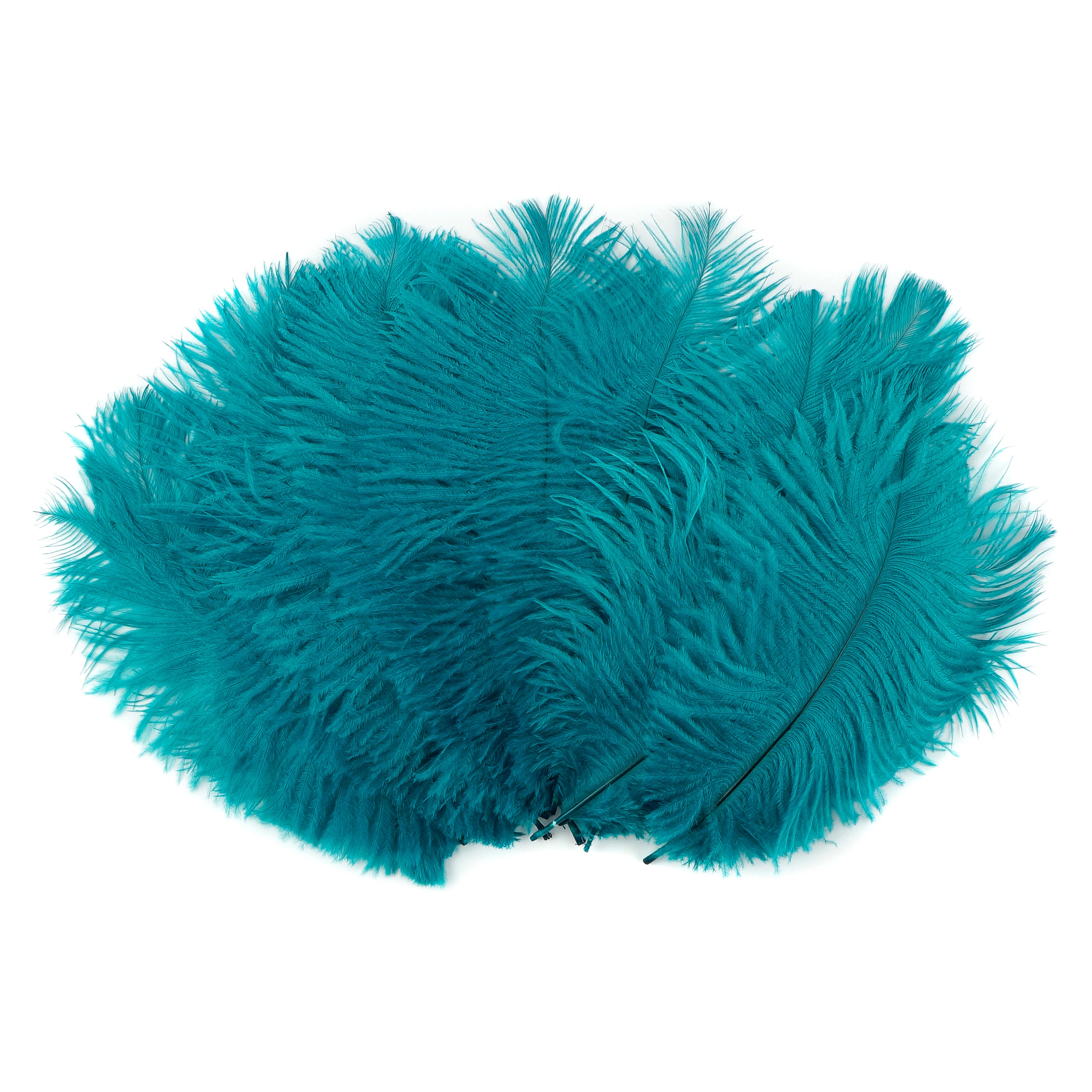 Ostrich Feathers 4-8 Dark AQUA Mini Ostrich Drabs - Etsy