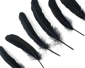 BLACK 6-9" Dyed Goose Favion Feathers 6 Pieces For DIY Arts , Crafts, Dream Catchers, Millinery, Carnival, Costume & Cosplay Design ZUCKER®