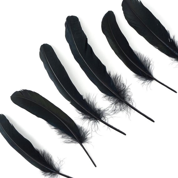 BLACK Strung Marabou Turkey Feathers for Fly Fishing, Fly Tying, D.I.Y Arts  and Crafts ZUCKER® 