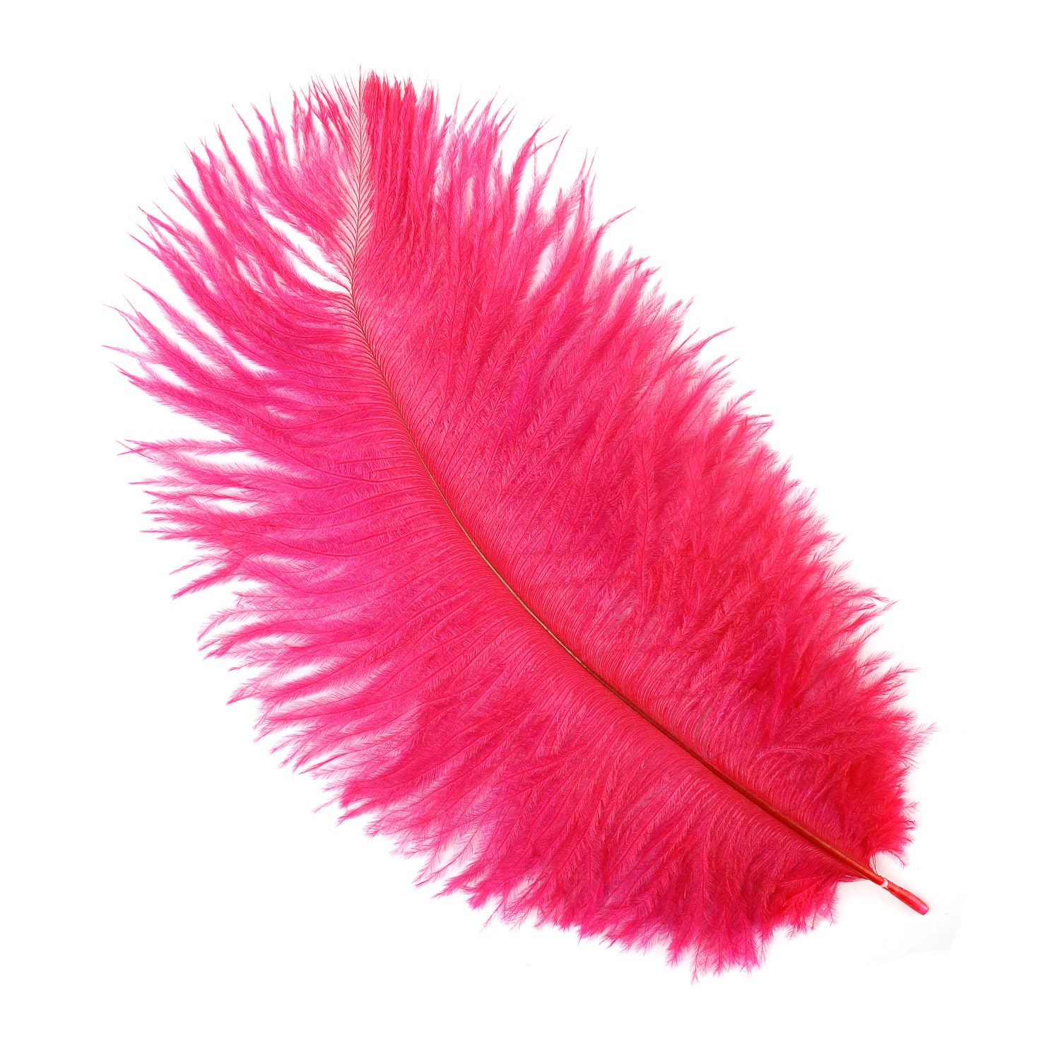 Ostrich Feathers 4-8 Shocking Hot PINK Mini Ostrich Drabs, Floral ...