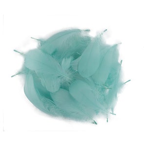 Goose Nagoire Feathers, 4-6&quot; Mint Loose Goose Nagoire Feathers, Small Feathers, Arts and Craft Supplies ZUCKER®