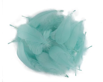 May include: A pile of soft, light blue feathers. The feathers are arranged in a circular shape, with the tips of the feathers pointing outwards.
