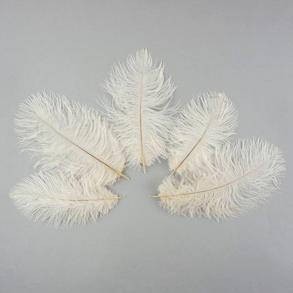 Ostrich Feathers 4-8" IVORY, Mini Ostrich Drabs, Floral Bouquets, Boutonnieres, Small Centerpieces, Hat Trims, ZUCKER®