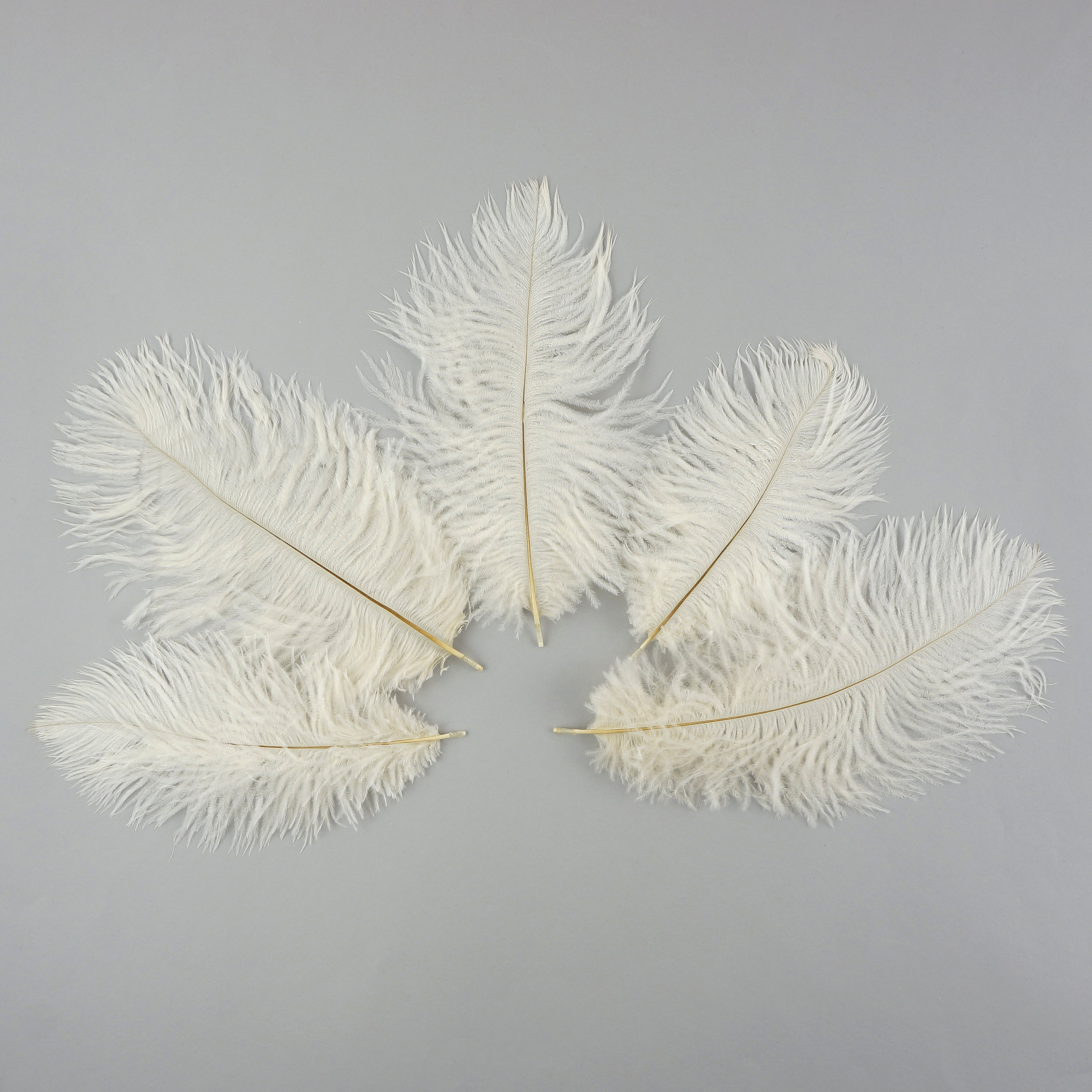 ostrich feathers wholesale canada