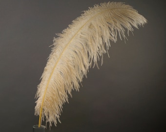 X-Large Ostrich Feathers 24-30", 1 to 25 Pieces, BEIGE, For Wedding Centerpieces, Party Decor, Millinery, Carnival, Costume ZUCKER®