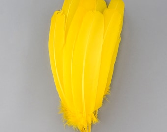 Yellow Dyed Turkey Quill Feathers, Bulk Turkey Quills 8-12” for Cosplay, Carnival, Costume, Millinery, Dream Catchers, Arts & Crafts ZUCKER®