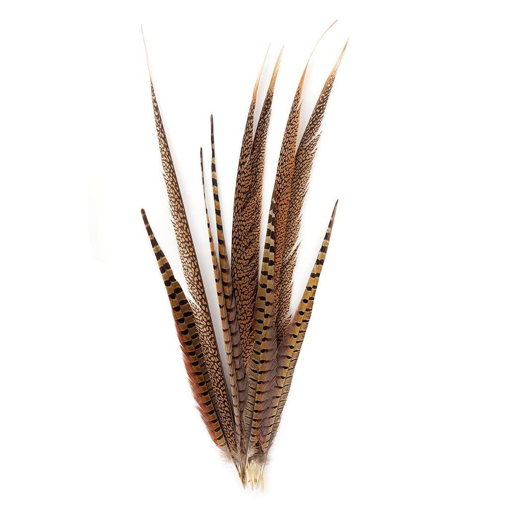Long Pheasant Feathers, 16-30 inch Natural Ringneck & Golden Assorted