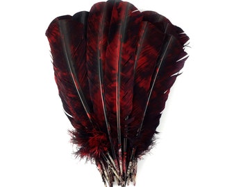 25pc/pkg Red & Black Tie-Dyed Turkey Quill Value Pack - For Arts and Crafts, Millinery, Carnival and Costume Design ZUCKER®