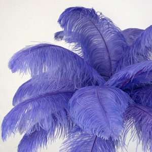 Large Ostrich Feathers 17-25”, 1 to 25 Pieces Prime Ostrich Femina Wing Plumes LAVENDER, Wedding Centerpiece, Carnival Feathers ZUCKER® USA