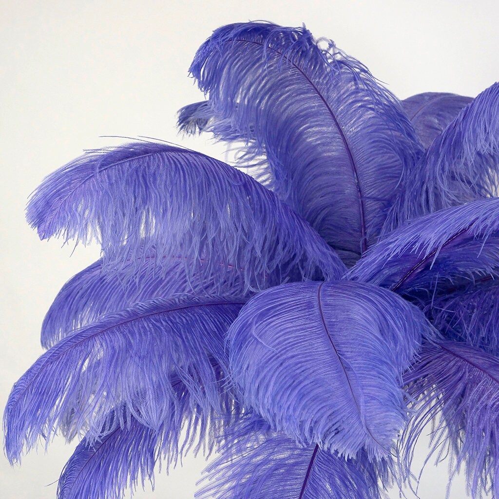 Large Ostrich Feathers 1725”, 1 to 25 Pieces Prime Ostrich Femina Wing