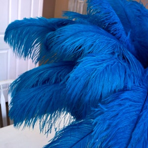 Ostrich Feathers 17-20&quot; Dark TURQUOISE, 1 to 25 pc, Ostrich Plumes, Carnival, Ostrich Drab, Mardi Gras, Centerpieces, Fans, ZUCKER® USA