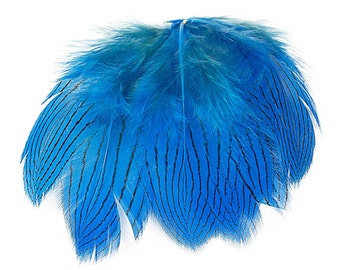 Dark Turquoise Silver Pheasant Plumage, Unique Feathers, 1 DOZEN  2-4", Dyed Silver Pheasant Barred Plumage ZUCKER® Dyed & Sanitized USA