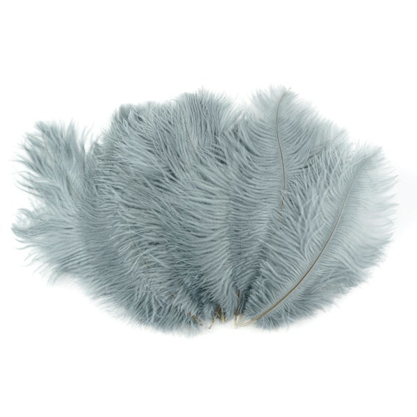 Grey Ostrich Feather Etsy