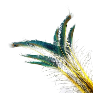 Peacock Sword Stem Dyed Feathers, 10 to 100 pieces 15-25" - YELLOW, Floral Decor, Millinery, Jewelry Design ZUCKER® Sanitized in USA