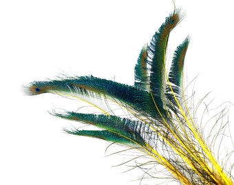 Peacock Sword Stem Dyed Feathers, 10 to 100 pieces 15-25" - YELLOW, Floral Decor, Millinery, Jewelry Design ZUCKER® Sanitized in USA