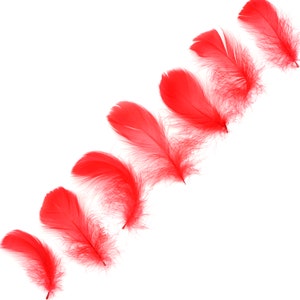 Goose Coquille Feathers, 3-5&quot; Red Loose Goose Feathers, Small Feathers, Arts and Craft Supplies ZUCKER®
