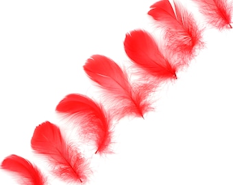 Goose Coquille Feathers, 3-5" Red Loose Goose Feathers, Small Feathers, Arts and Craft Supplies ZUCKER®