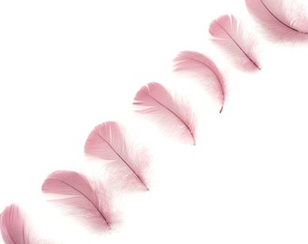 Goose Coquille Feathers, 3-5" Dusty Rose Loose Goose Feathers, Small Feathers, Arts and Craft Supplies ZUCKER®