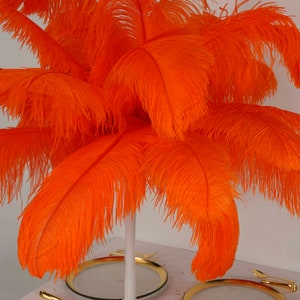 Large Ostrich Feathers 17-25&quot;, 1 to 25 piece pkg, ORANGE, Feather Centerpieces, Table Decor, Millinery, Carnival, Costume, ZUCKER® USA