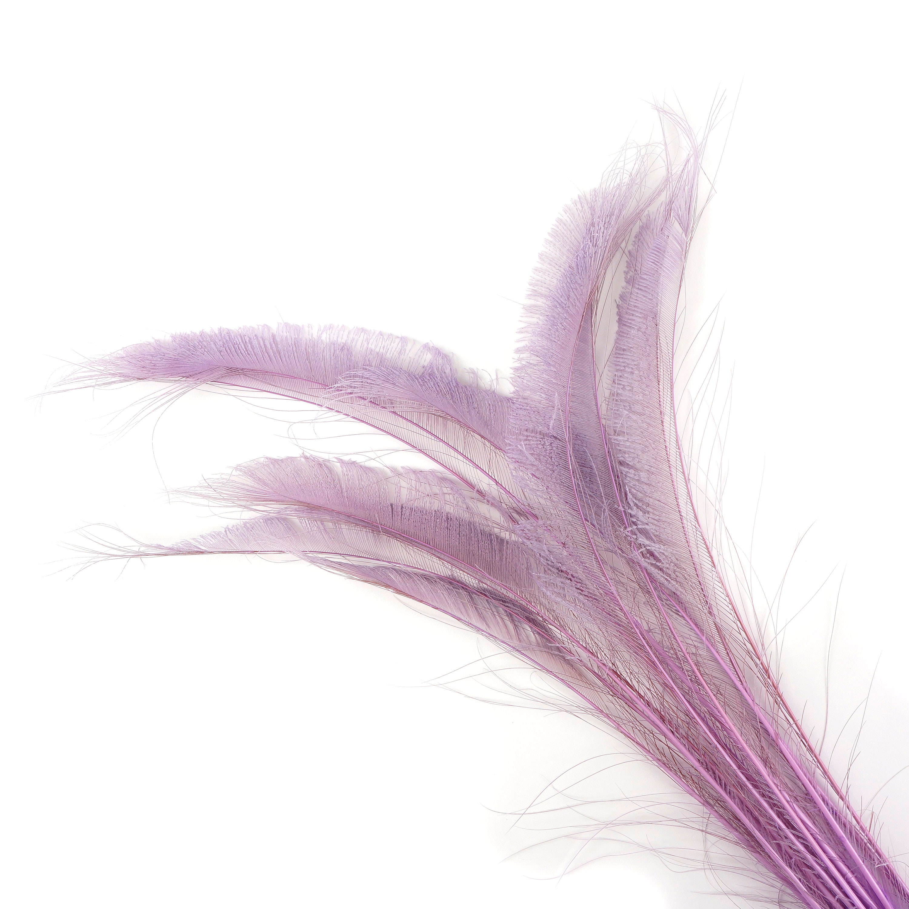 Bleach Dyed Peacock Sword Feathers 10 to 100 Pieces 1525 ORCHID Floral Decor, Millinery