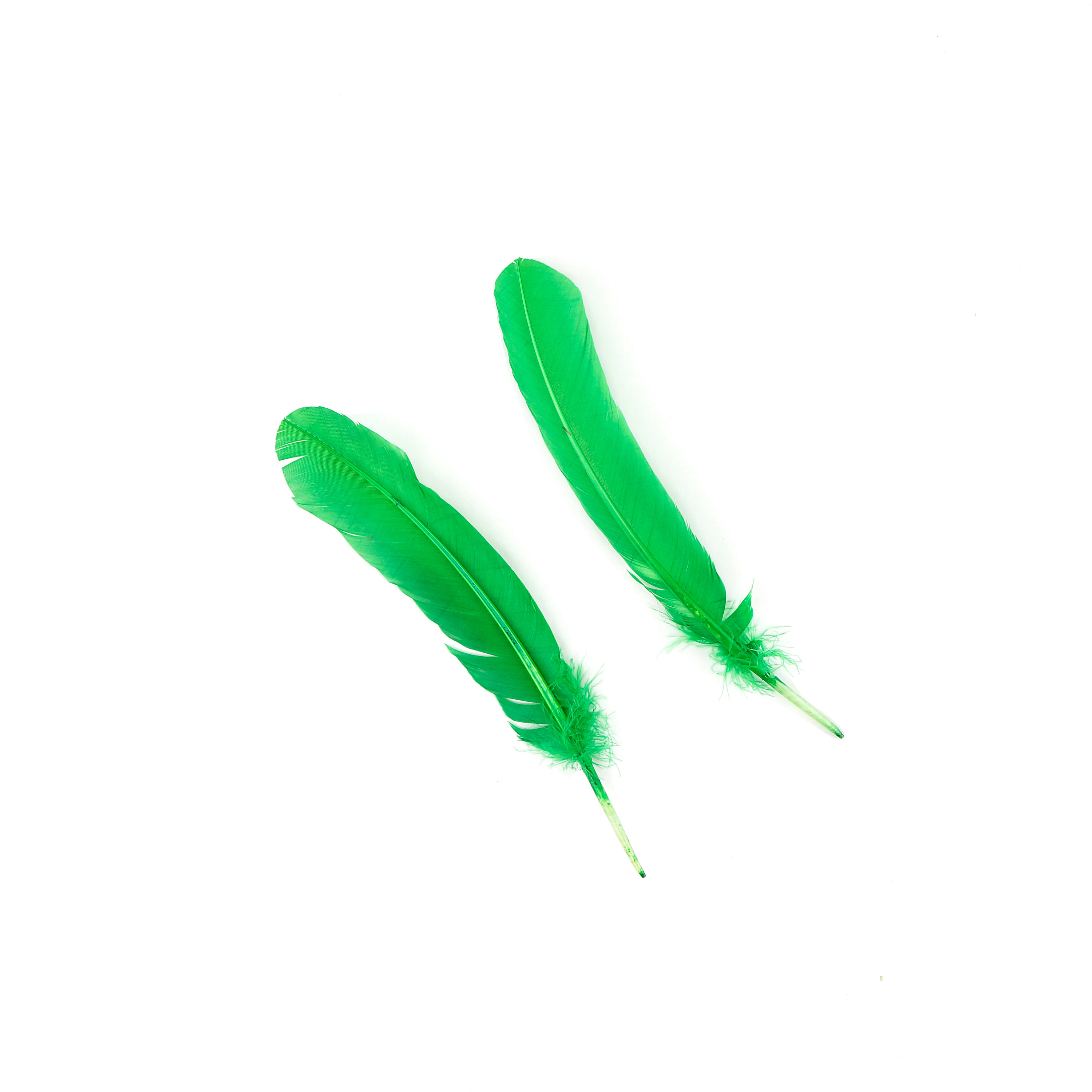 Turkey Feather Round Wing - 12 Pcs. (All Lefts) Kelly Green Feathers -  Regalia