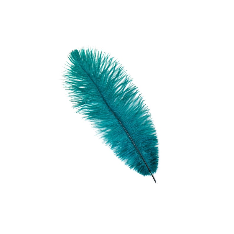 Ostrich Feathers 13-16 TEAL For Feather Centerpieces, Party Decor, Millinery, Carnival, Fashion & Costume ZUCKER® image 4