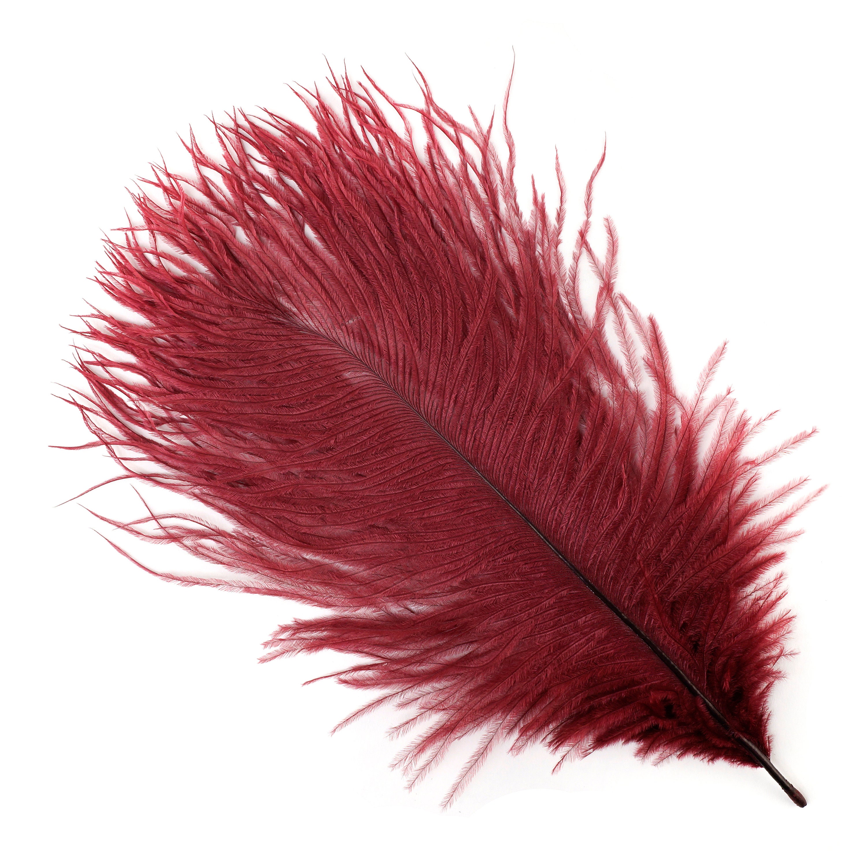 Bulk Ostrich Feathers 48 BURGUNDY, Mini Ostrich Drabs, Bouquets