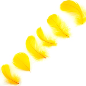 Goose Coquille Feathers, 3-5&quot; Gold Loose Goose Feathers, Small Feathers, Arts and Craft Supplies ZUCKER®