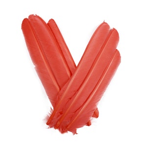 Apricot Cut Turkey Pointers 8-12&quot; Dyed 6pcs, Turkey Pointer Quills for Costume, Carnival, Halloween, Cosplay and DIY Arts & Crafts ZUCKER®
