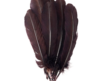 Brown Dyed Turkey Quill Feathers, Bulk Turkey Quills 8-12” for Cosplay, Carnival, Costume, Millinery, Dream Catchers, Arts & Crafts ZUCKER®