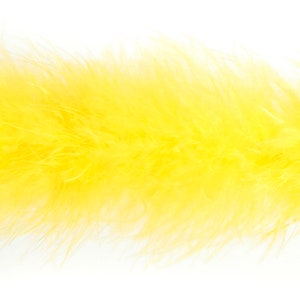 May include: A bright yellow feather boa. The boa is made of soft, fluffy feathers and is perfect for adding a touch of color and whimsy to any costume or craft project.