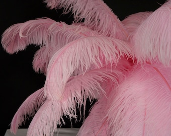 Large Ostrich Feathers 17-25”, 1 to 25 Pieces Prime Ostrich Femina Wing Plumes Candy PINK, Wedding Centerpiece, Carnival Feather ZUCKER® USA