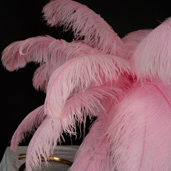 Large Ostrich Feathers 1725 1 to 25 Pieces Prime Ostrich Etsy