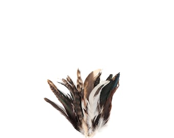 NATURAL Rooster Feathers, 8-10" Barred Rooster Feathers, 25pcs Rooster Coque Tails For Arts & Crafts, DIY, Millinery, Costume Design ZUCKER®