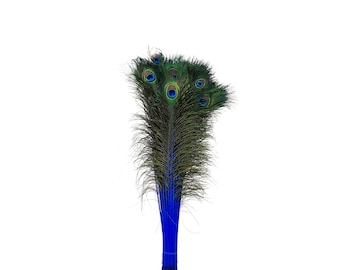 Blue Dyed Peacock Feathers, 25-40 inches Stem Dyed Peacock Tail Feathers, Peacock Tail Feathers with Large Iridescent Eyes ZUCKER®