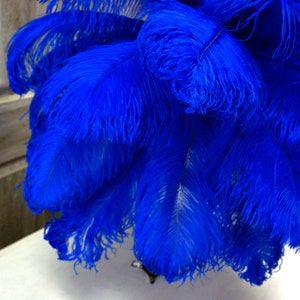 Ostrich Feathers 17-20" ROYAL, 1 to 25 pcs, Ostrich Plumes, Carnival Samba, Ostrich Drab, Mardi Gras, Centerpieces, Feather Fan, ZUCKER® USA