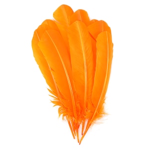 Mango Dyed Turkey Quill Feathers, Bulk Turkey Quills 8-12” for Cosplay, Carnival, Costume, Millinery, Dream Catchers, Arts & Crafts ZUCKER®