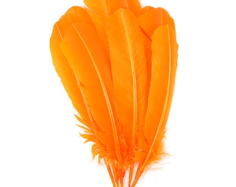Mango Dyed Turkey Quill Feathers, Bulk Turkey Quills 8-12” for Cosplay, Carnival, Costume, Millinery, Dream Catchers, Arts & Crafts ZUCKER®