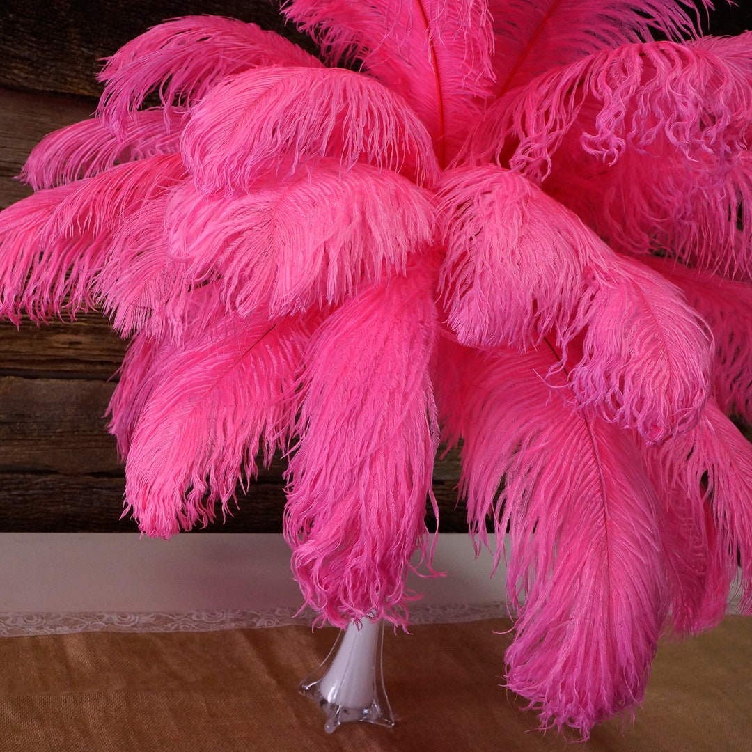 Ostrich Feathers 17-20 PINK Orient, 1 to 25 Pcs, Ostrich Plumes ...