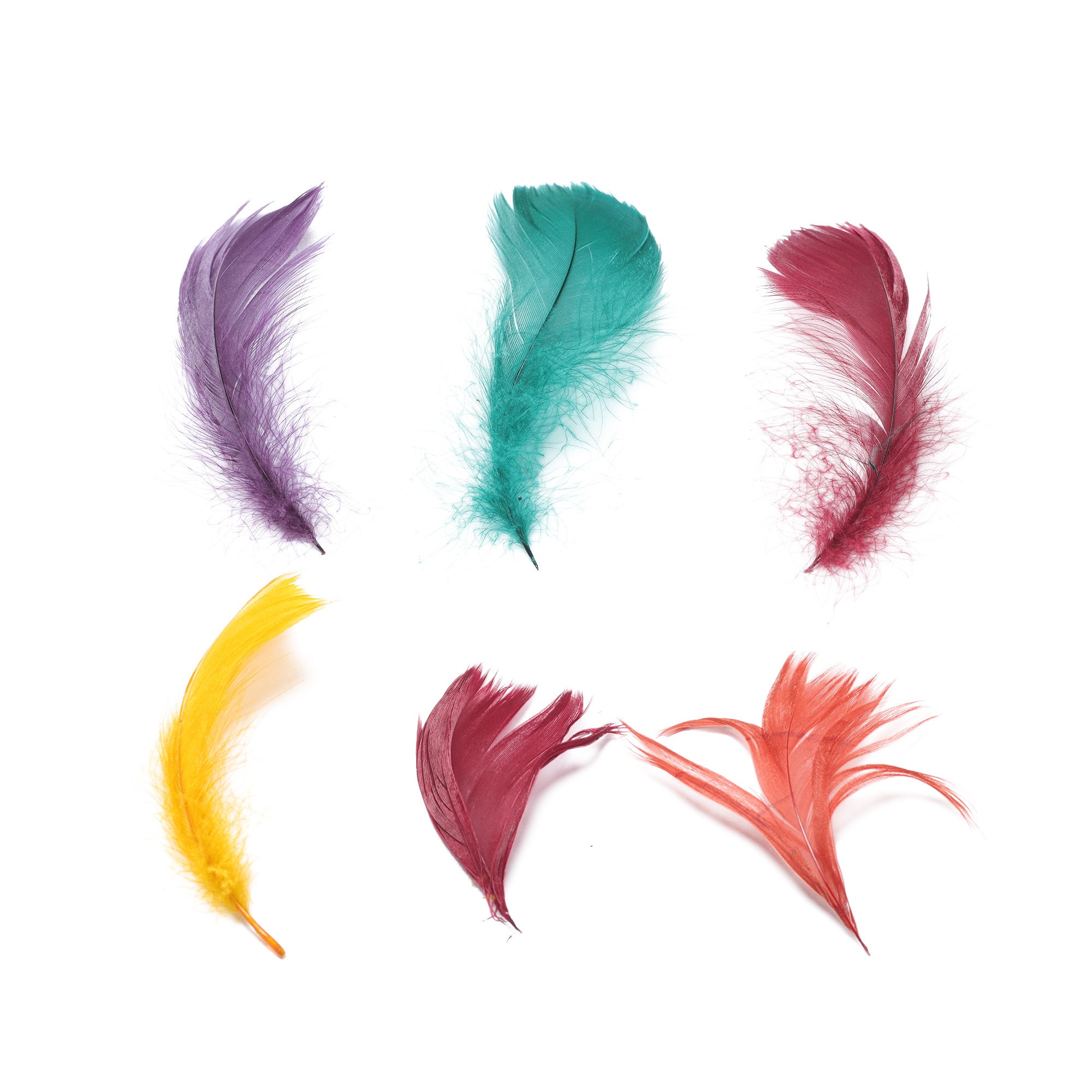Goose Coquille Feathers, 35 Autumn Mix Loose Goose Feathers, Small