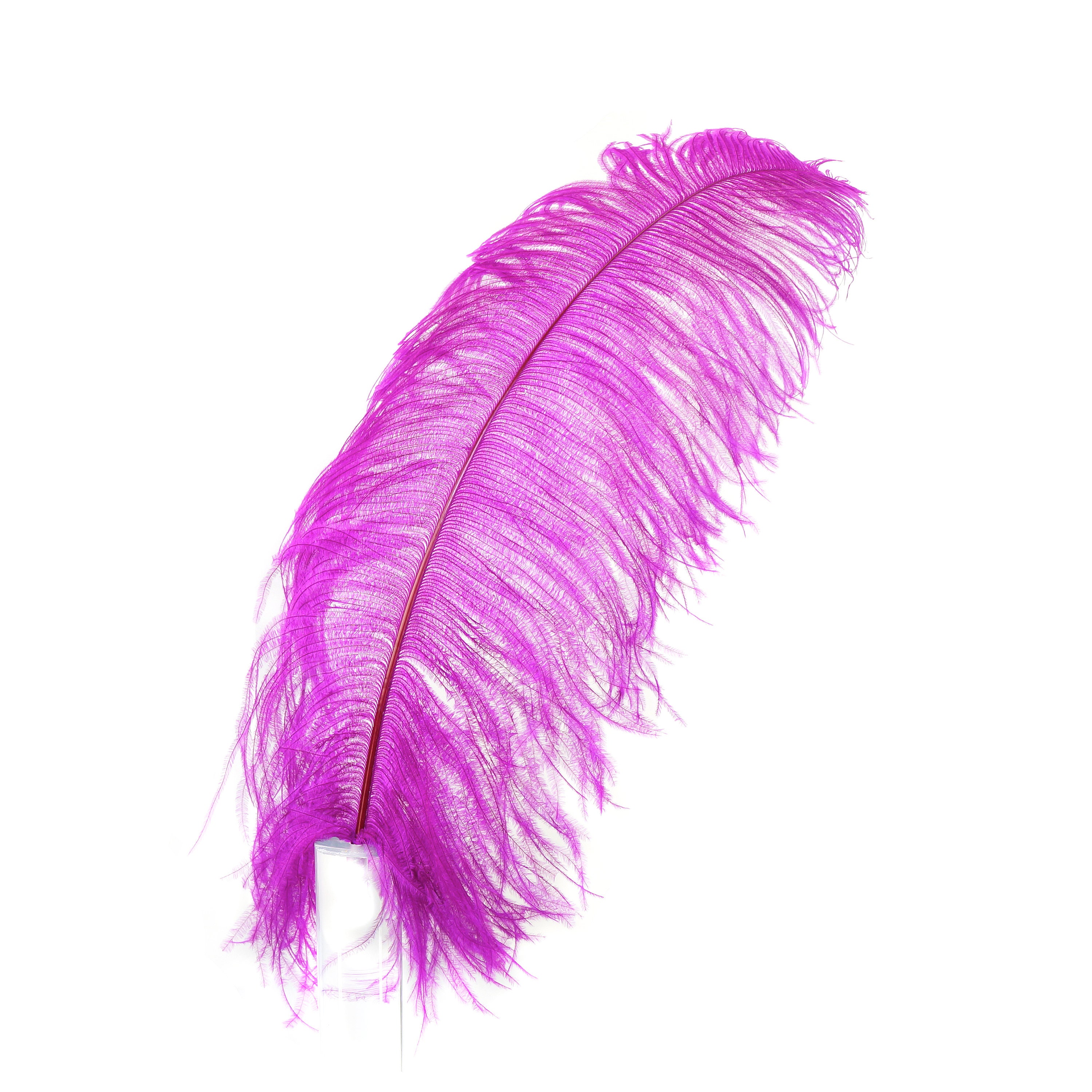 Large Ostrich Feathers 17-25”, 1 to 25 Pieces Prime Ostrich Femina Wing ...